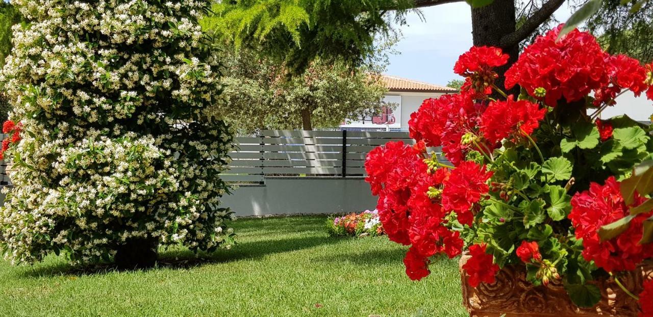 Fiori Apartment Umag Eksteriør bilde